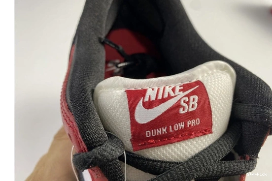 BQ6817-600 SB Nike J-Pack Low Chicago Dunk 0723